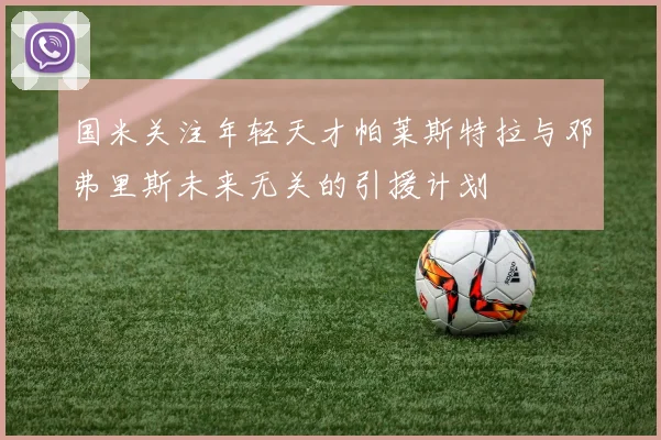 国米关注年轻天才帕莱斯特拉与邓弗里斯未来无关的引援计划